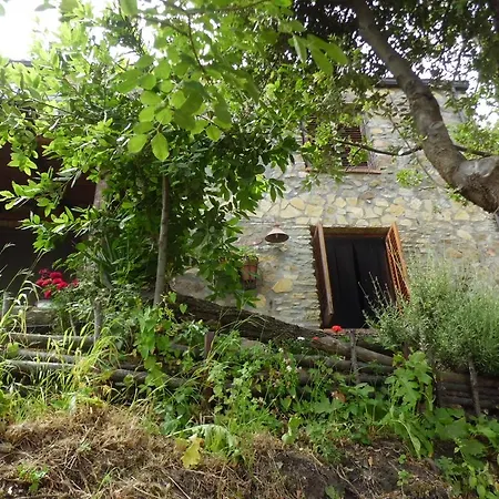 Casa Batia ヴィラ